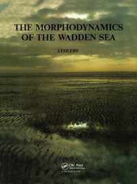 The Morphodynamics of the Wadden Sea