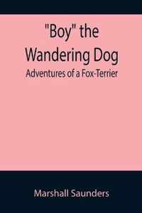 Boy the Wandering Dog