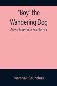 Boy the Wandering Dog