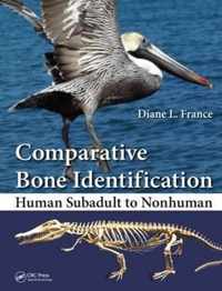 Comparative Bone Identification