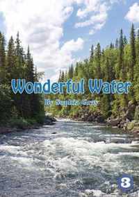 Wonderful Water