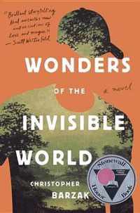 Wonders of the Invisible World