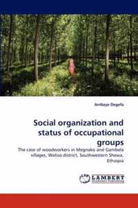 Social Organization and Status of Occupational Groups