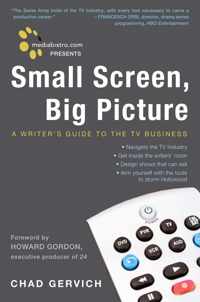 Mediabistro.com Presents Small Screen, Big Picture