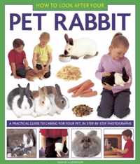 How To Look After Your Pet Rabbit