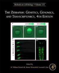 The Zebrafish: Genetics, Genomics, and Transcriptomics