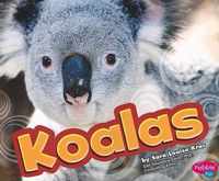 Koalas