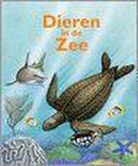 Dieren In De Zee