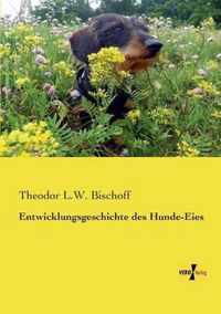 Entwicklungsgeschichte des Hunde-Eies