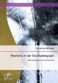 Resilienz in der Sozialpadagogik