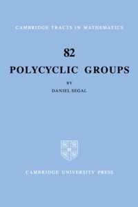 Polycyclic Groups