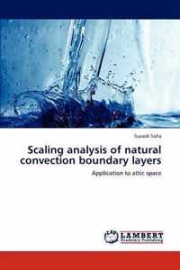 Scaling analysis of natural convection boundary layers