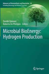 Microbial BioEnergy