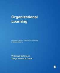 Organizational Learning