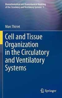 Cell and Tissue Organization in the Circulatory and Ventilatory Systems