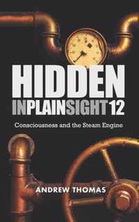 Hidden In Plain Sight 12