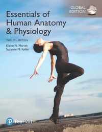 Essentials of Human Anatomy & Physiology plus Pearson Modified Mastering Anatomy & Physiology with Pearson eText, Global Edition