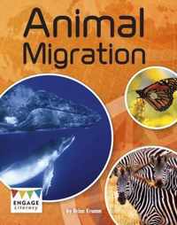 Animal Migration