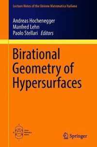 Birational Geometry of Hypersurfaces