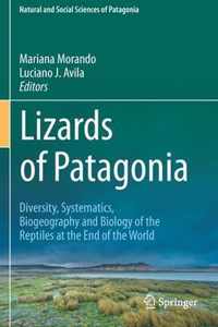 Lizards of Patagonia