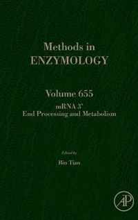 mRNA 3' End Processing and Metabolism