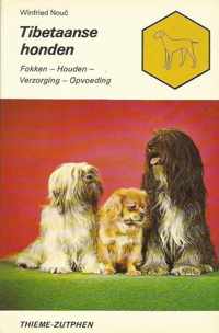 Tibetaanse honden