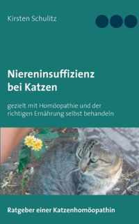 Niereninsuffizienz bei Katzen