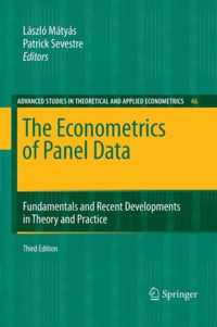 The Econometrics of Panel Data: Fundamentals and Recent Developments in Theory and Practice