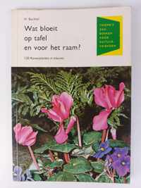 Wat bloeit op tafel en voor het raam?