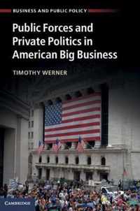 Public Forces and Private Politics in American Big Business