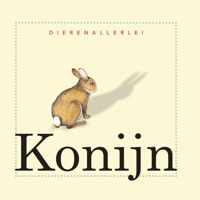 Dierenallerlei  -   Konijn