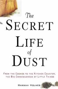 The Secret Life of Dust