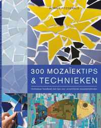 300 mozaiektips & technieken