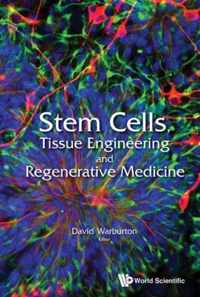 Stem Cells, Tissue Engineering And Regenerative Medicine