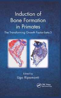 Induction of Bone Formation in Primates