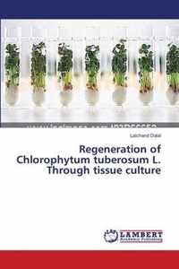 Regeneration of Chlorophytum tuberosum L. Through tissue culture