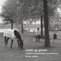 Licht op groen