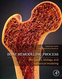 Bone Remodeling Process