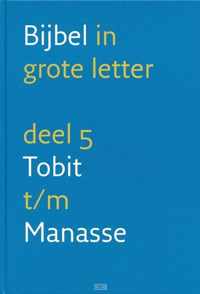 Bijbel In Grote Letter Deel 5