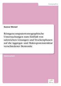 Roentgencomputertomographische Untersuchungen zum Einfluss von salzreichen Loesungen und Trockenphasen auf die Aggregat- und Makroporenstruktur verschiedener Bentonite