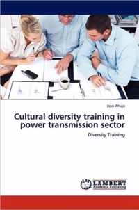 Cultural Diversity Training in Power Transmission Sector
