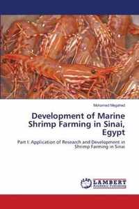 Development of Marine Shrimp Farming in Sinai, Egypt