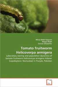 Tomato fruitworm Helicoverpa armigera