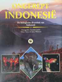 Ongerept Indonesië