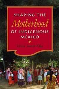 Shaping the Motherhood of Indigenous Mexico