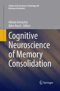 Cognitive Neuroscience of Memory Consolidation