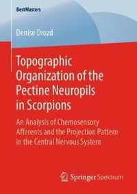 Topographic Organization of the Pectine Neuropils in Scorpions