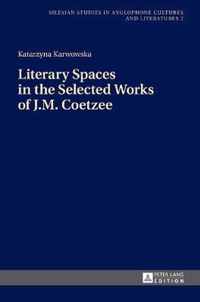 Literary Spaces in the Selected Works of J.M. Coetzee