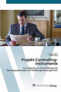 Projekt-Controlling-Instrumente