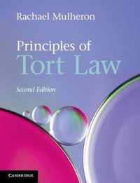 Principles of Tort Law